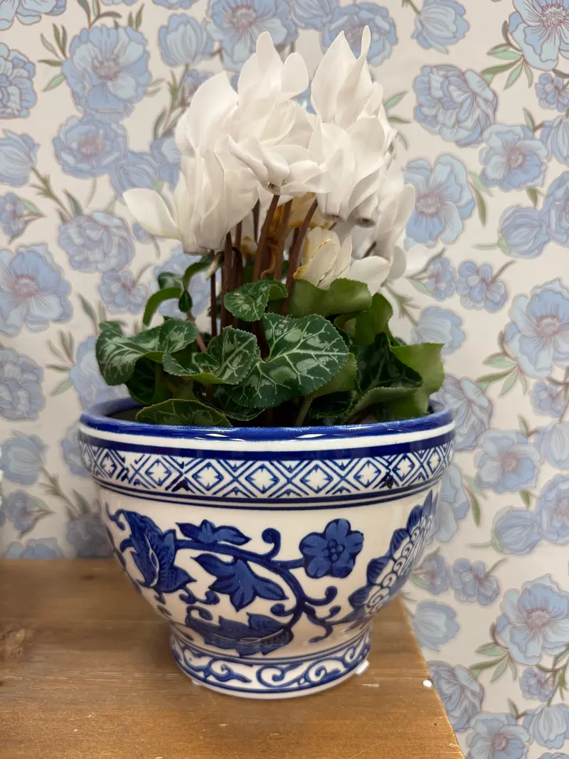 Blue Chinoiserie Cyclamen Ceramic Planter 1