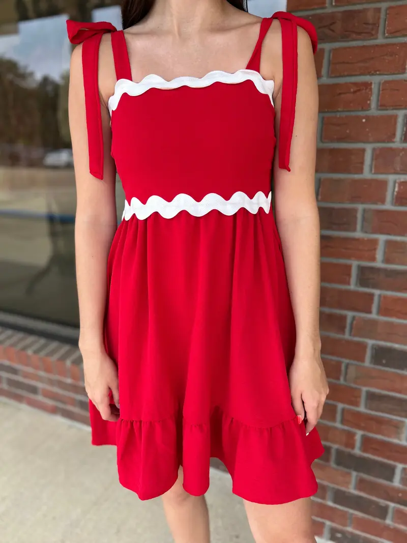 In The Grove Ruffled Babydoll Dress With Ricrac Smocking 1