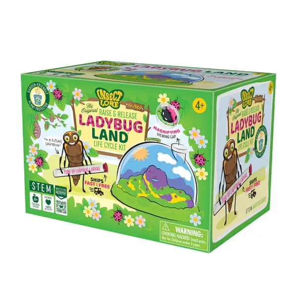 Ladybug Observation Kit – Educational Insect Habitat For Children 1
