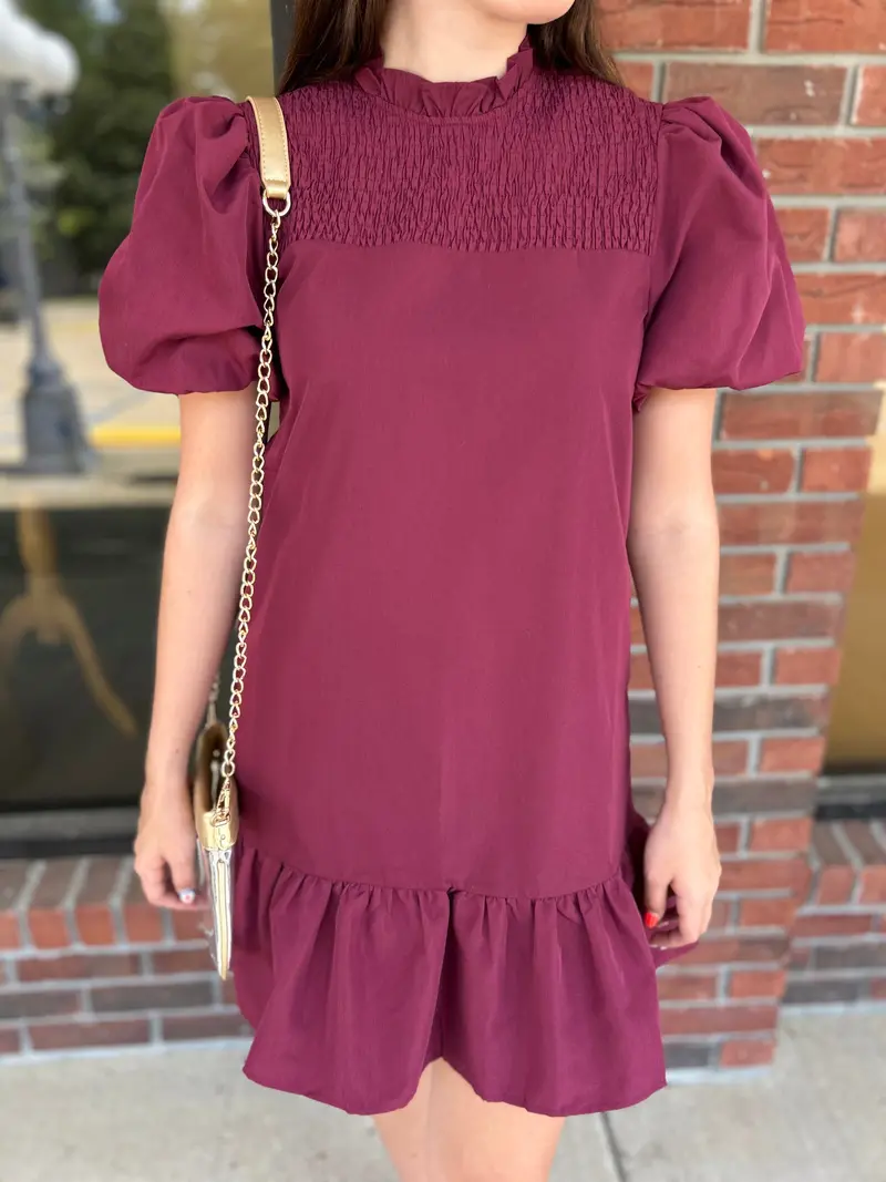 Maroon A-Line Dress With Clean Silhouette 1