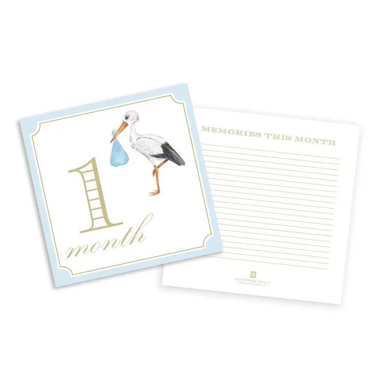 Navy Blue Baby Milestone Cards 1